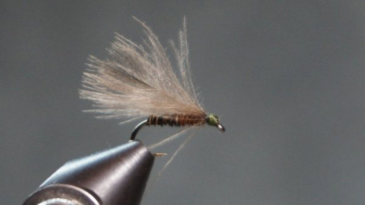 F Fly fly pattern tied by Christian Andrews