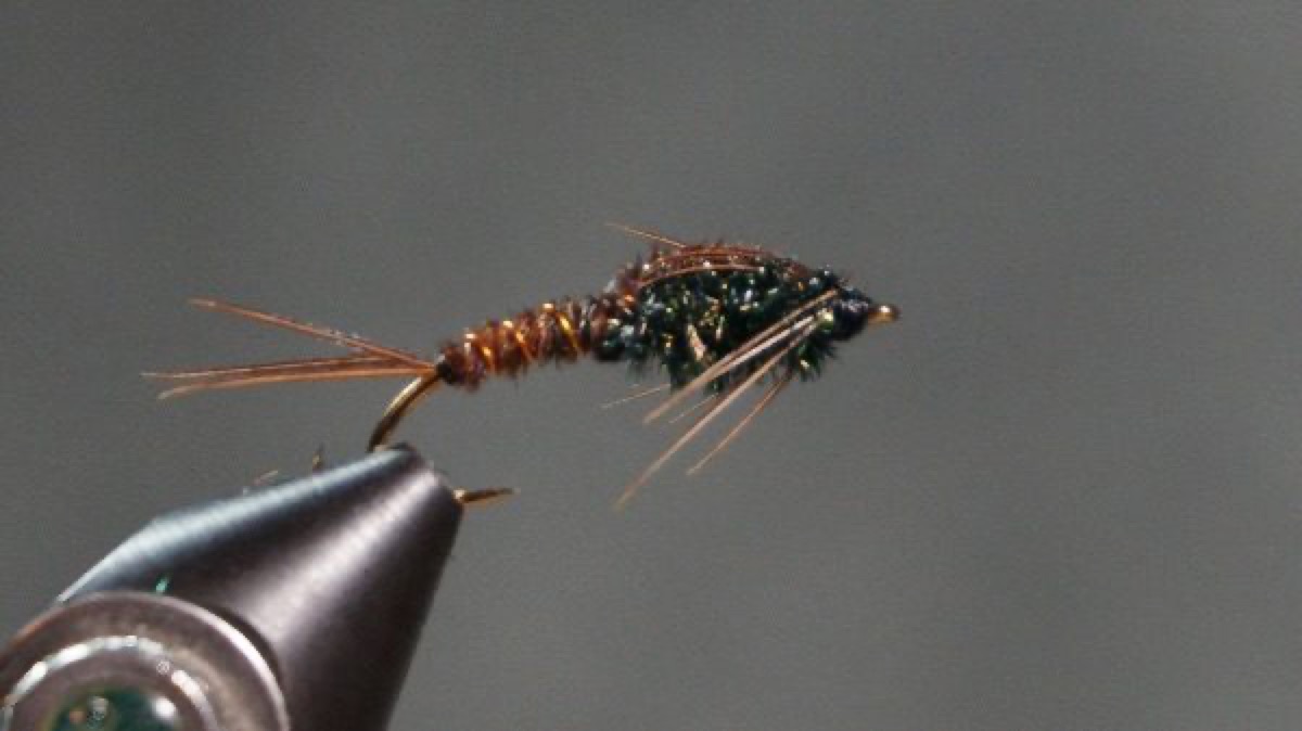 Pheasant Tail Peacock Herl Nymph fly pattern tied by Christian Andrews