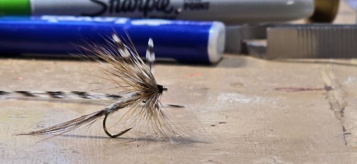 Redeye Bass Adams Dry Fly fly pattern tied by Darrell Olson