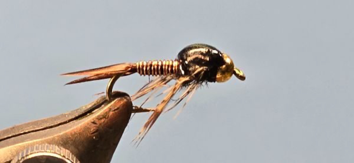Copper John fly pattern tied by Darrell Olson