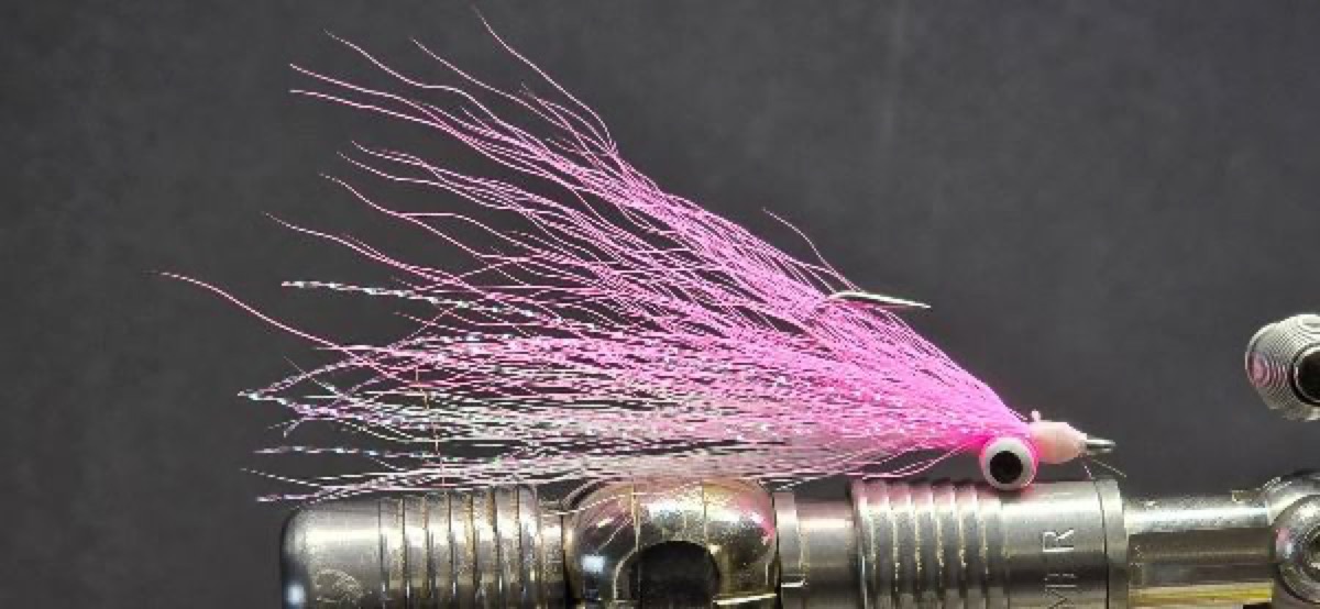 Pink/White Clouser fly pattern tied by Darrell Olson