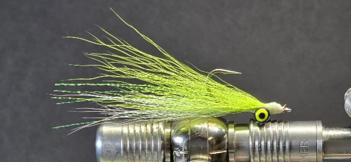 Chartreuse/White Clouser fly pattern tied by Darrell Olson