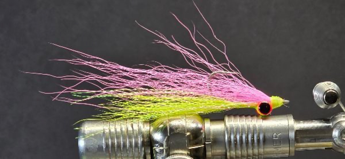 Tuiti Fruiti Clouser fly pattern tied by Darrell Olson