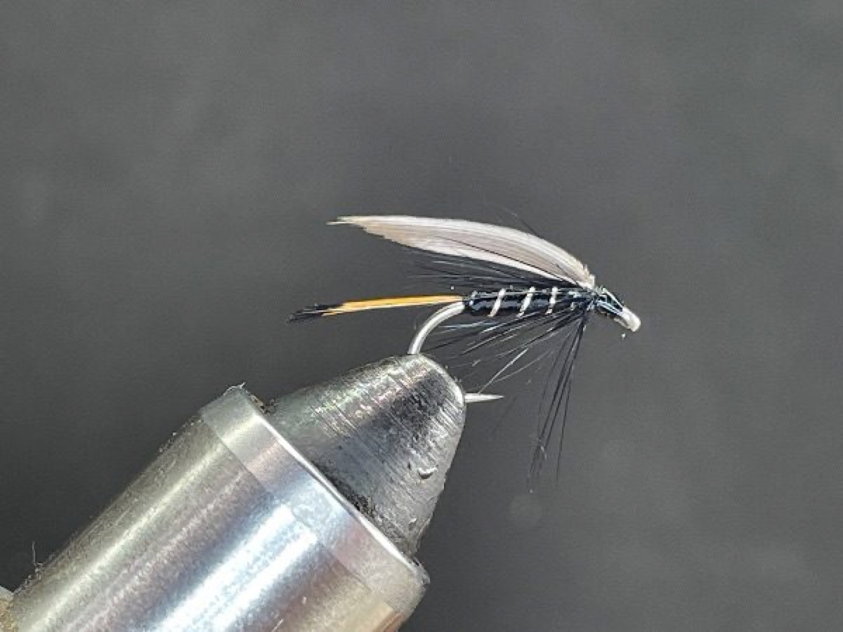 Blae & Black fly pattern tied by Brent Jones
