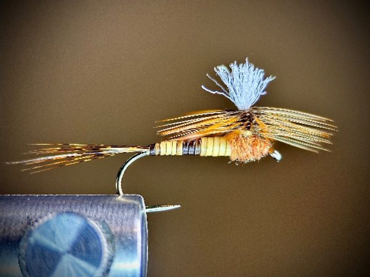 March Brown parachute fly pattern tied by Ryan Storch