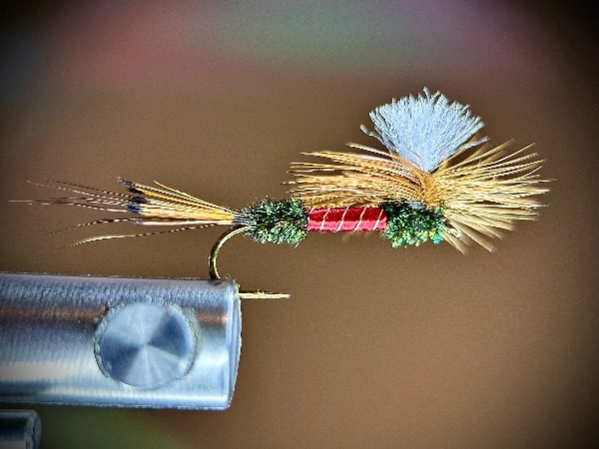 Supersized Royal Coachman fly pattern tied by Ryan Storch