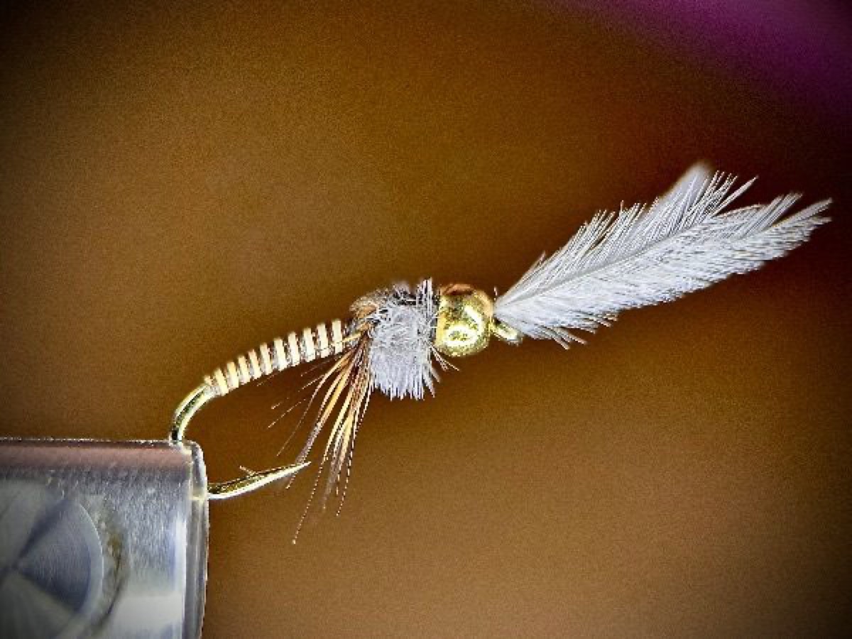 Moose mane emerger fly pattern tied by Ryan Storch