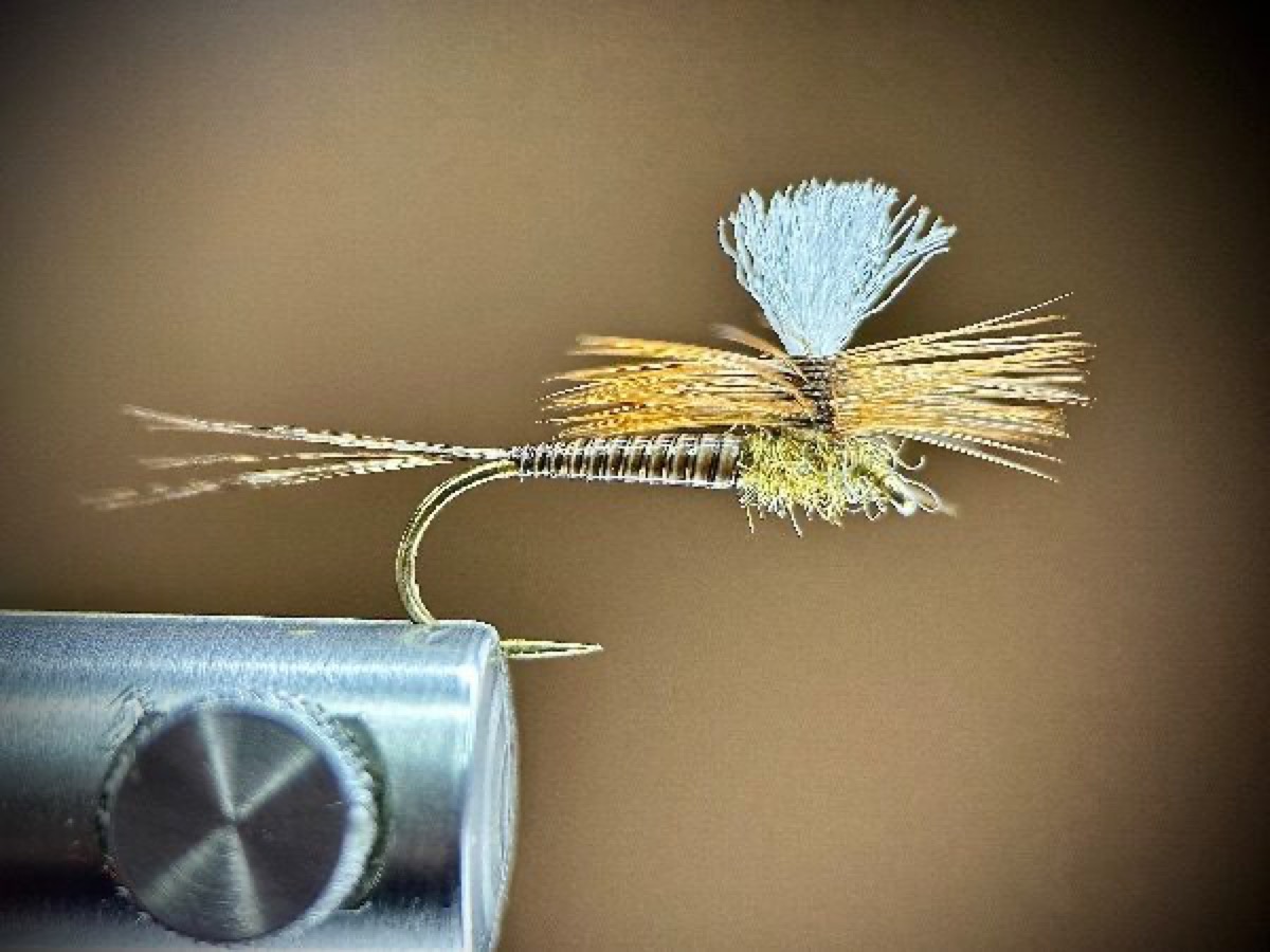 Stripped quill parachue fly pattern tied by Ryan Storch