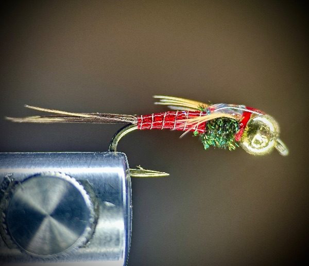Red lightning bug fly pattern tied by Ryan Storch