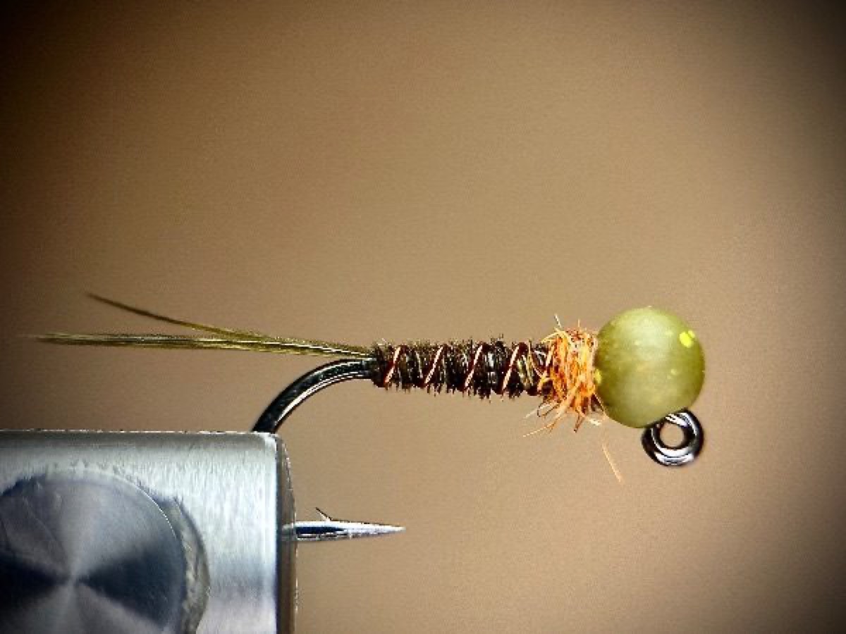 Pheasant tail Frenchie fly pattern tied by Ryan Storch