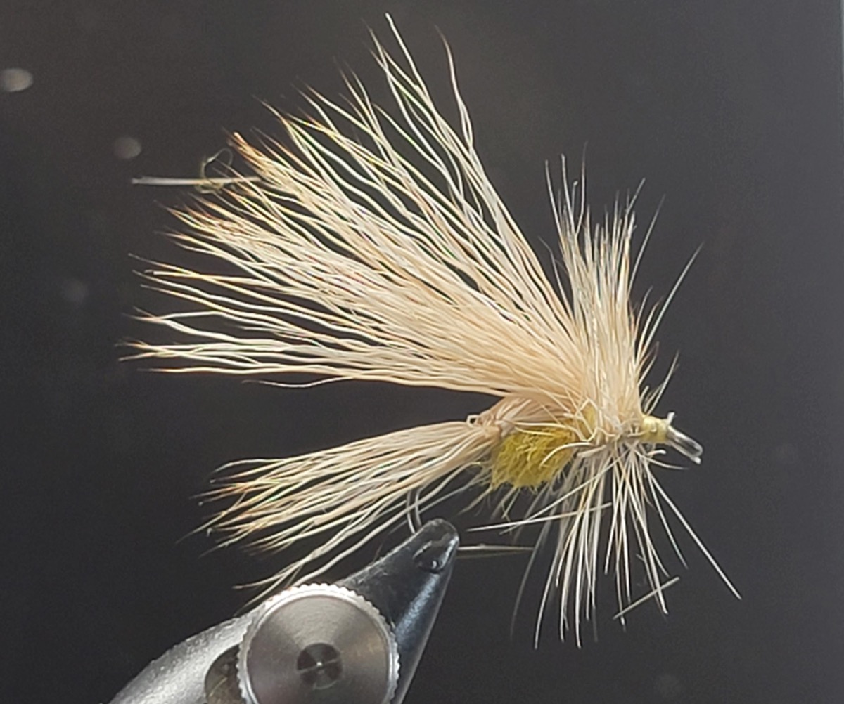 Cream Saco Caddis fly pattern tied by Darrell Olson