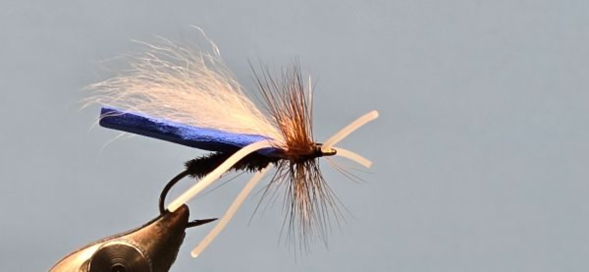 Jim Hickey's Condor Fly for Redeye Bass fly pattern tied by Darrell Olson