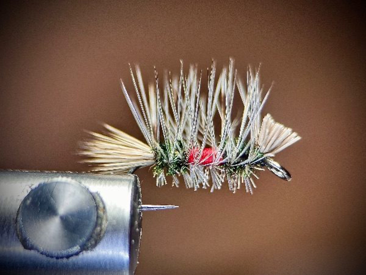 Royal Dyret fly pattern tied by Ryan Storch