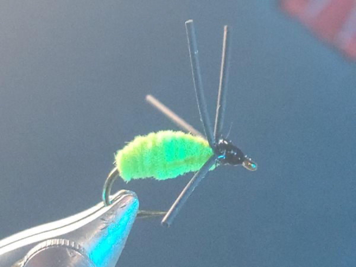 Bully's Bluegill Spider fly pattern tied by Darrell Olson