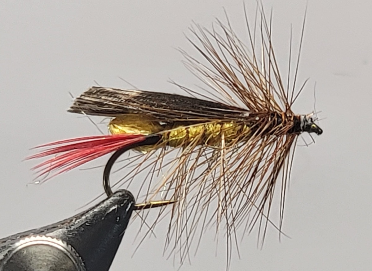 Generic Grasshopper Fly fly pattern tied by Darrell Olson