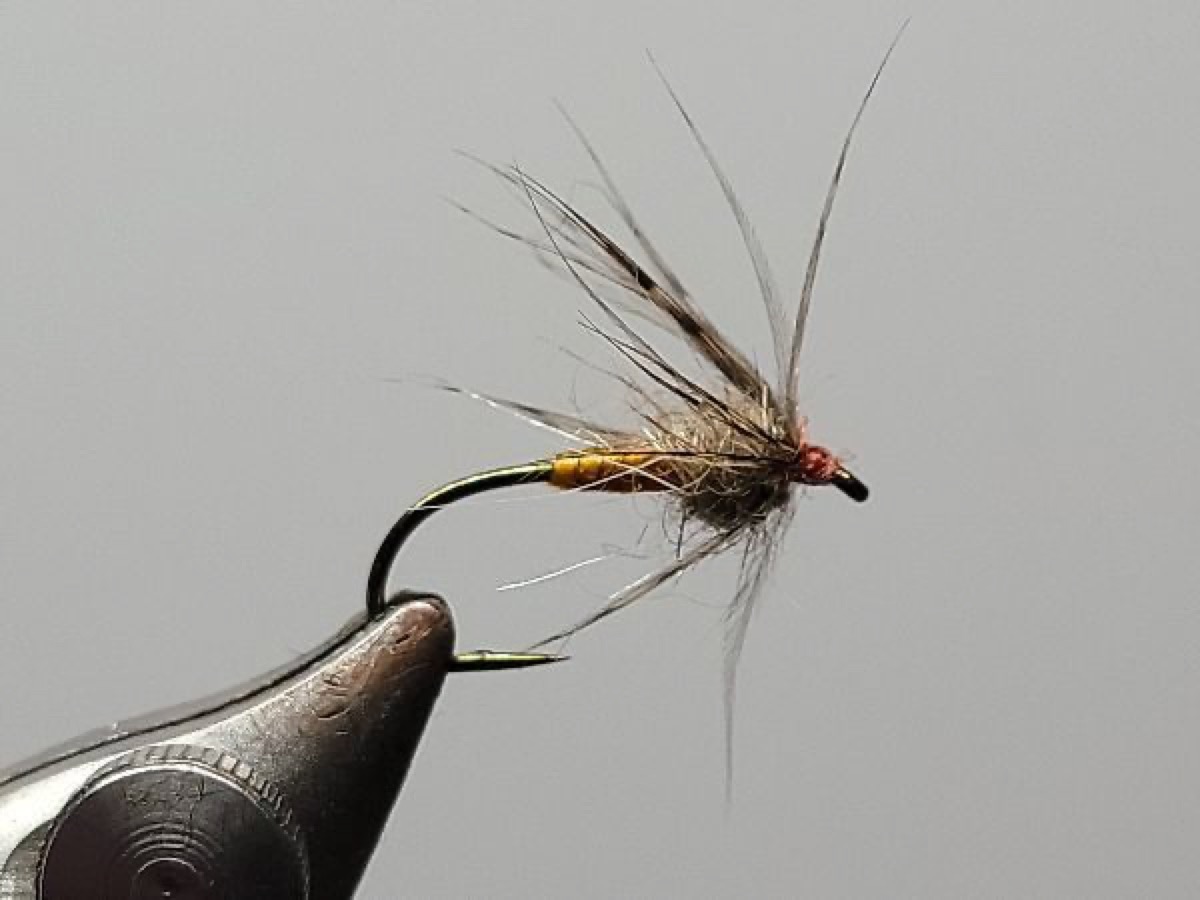 ORANGE PARTRIDGE SOFT HACKLE fly pattern tied by Darrell Olson