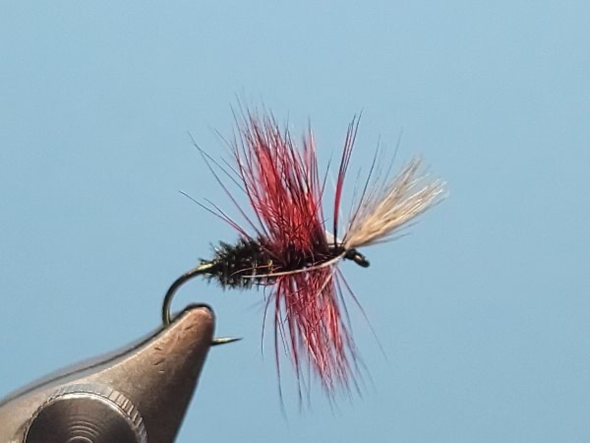 The John Storey fly pattern tied by Darrell Olson
