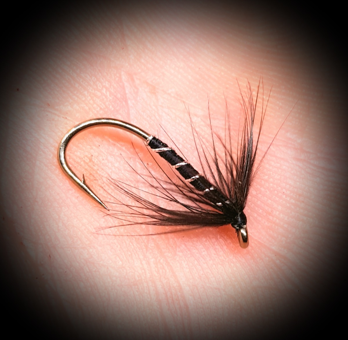 Black spider fly pattern tied by John Moore