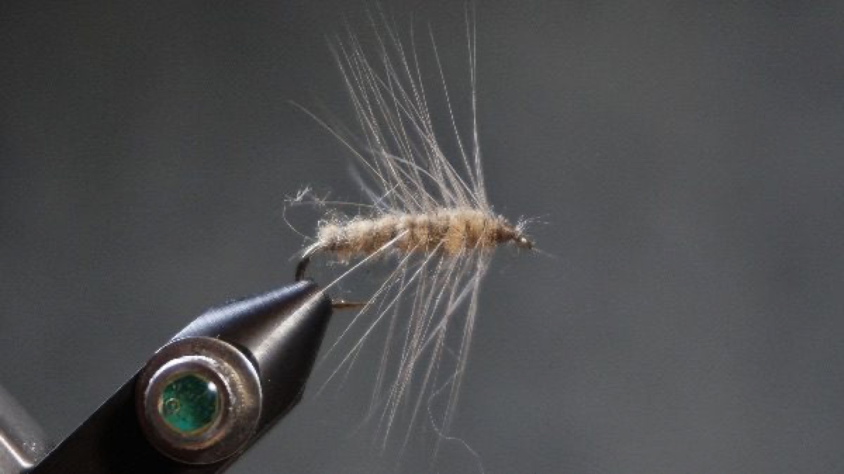 F-C Deep Emerger fly pattern tied by Christian Andrews