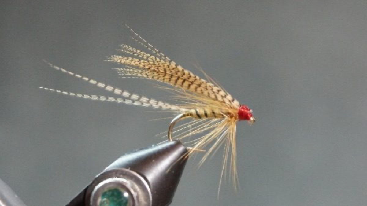 Green Drake fly pattern tied by Christian Andrews