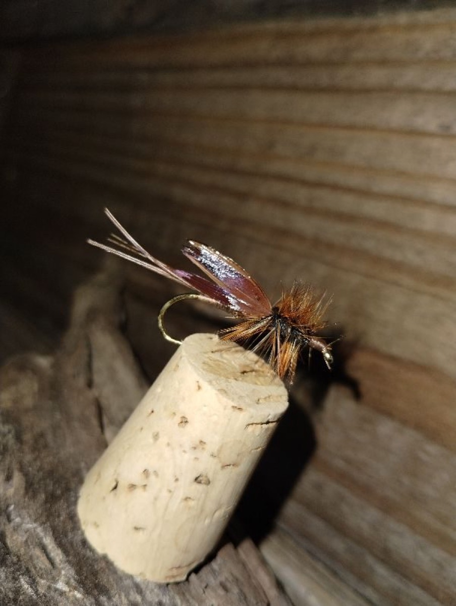 Pheasant Tail Red Wasp fly pattern tied by Shannon Wood
