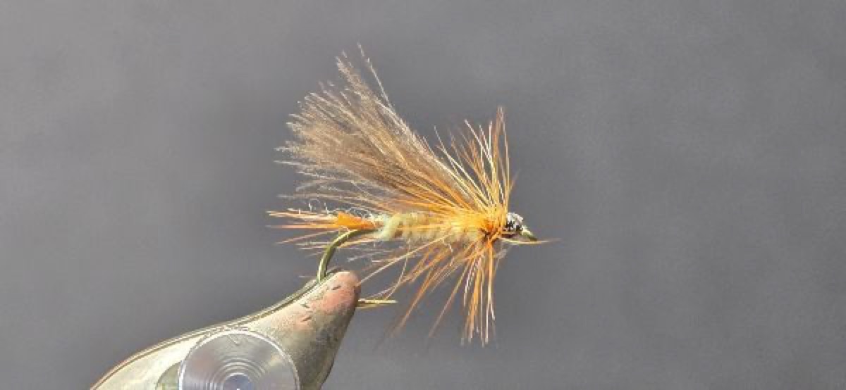 Yellow Caddis fly pattern tied by Darrell Olson