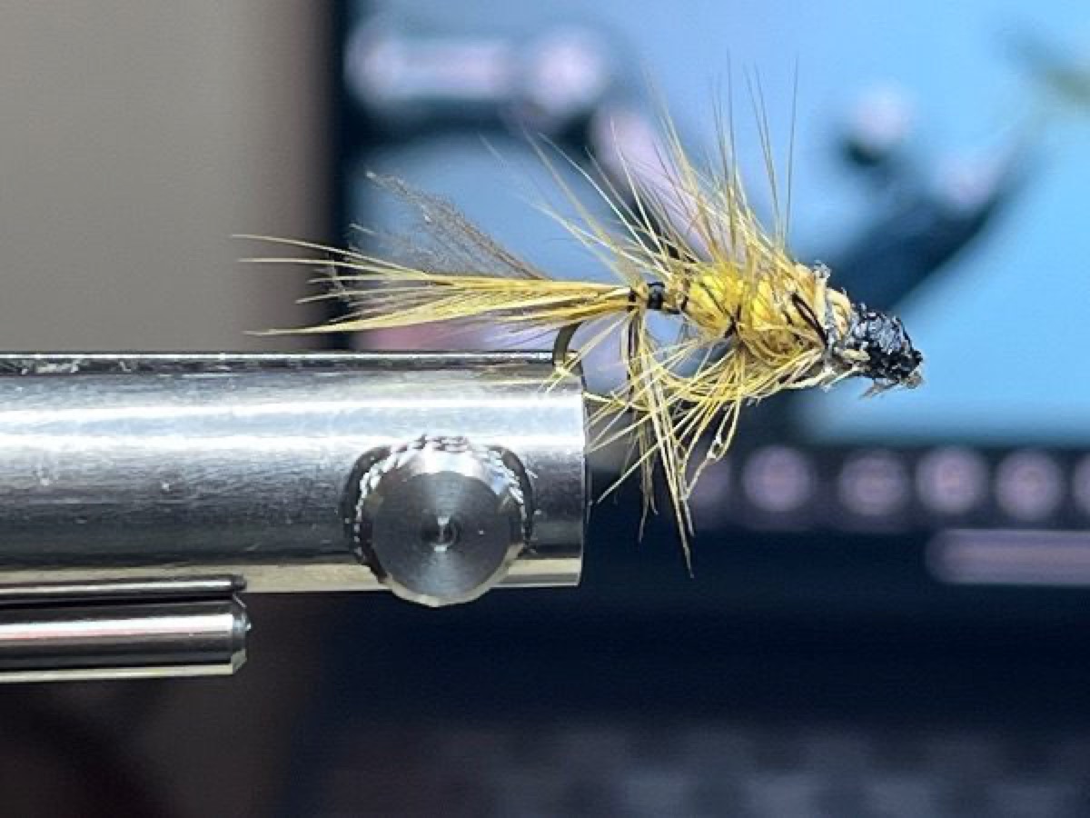 Vaclav Mazura's Yellow Cadd fly pattern tied by David Fliesen