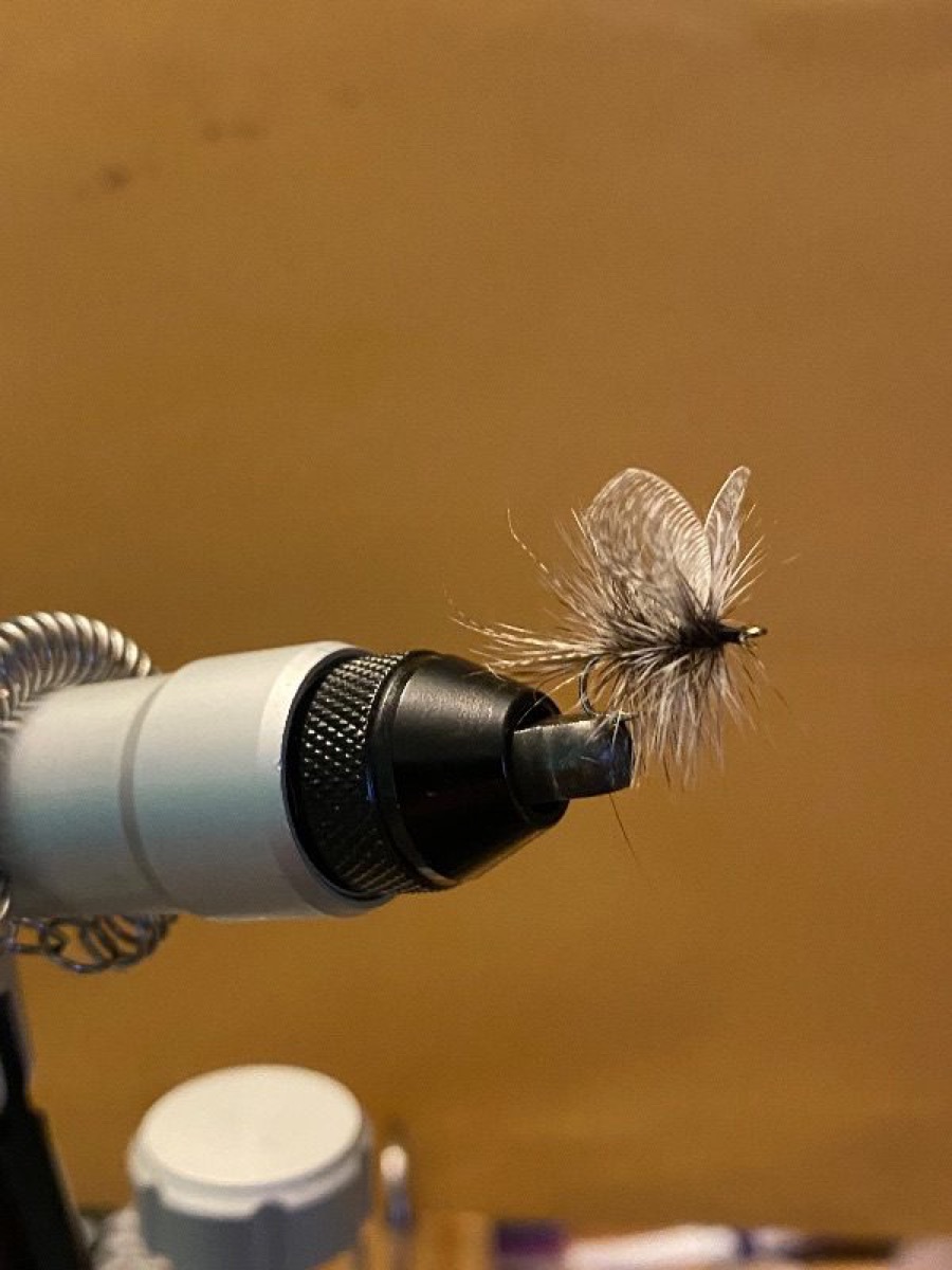 Wally wing fly pattern tied by Andy Wells