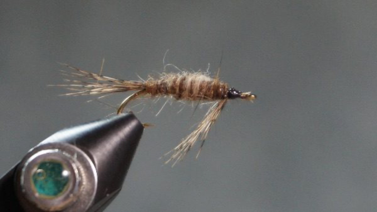 Trueblood Shrimp (Trueblood Otter) fly pattern tied by Christian Andrews