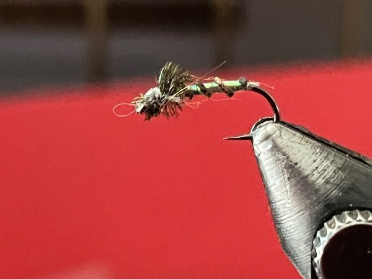 Street midge by Barry Ord Clarke fly pattern tied by Michael Terry