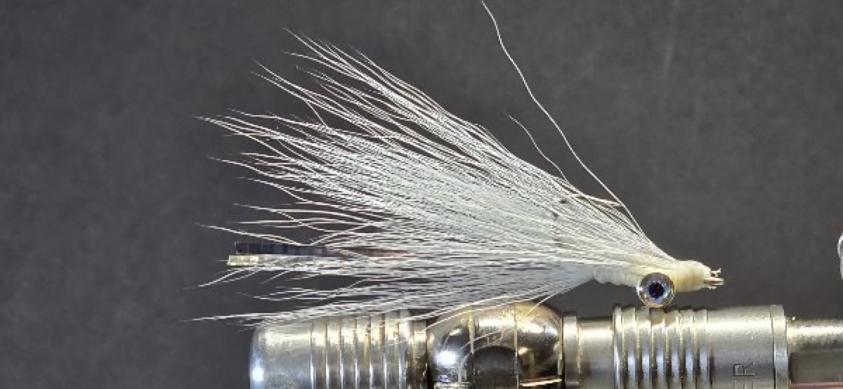 The Silverside Clouser fly pattern tied by Darrell Olson