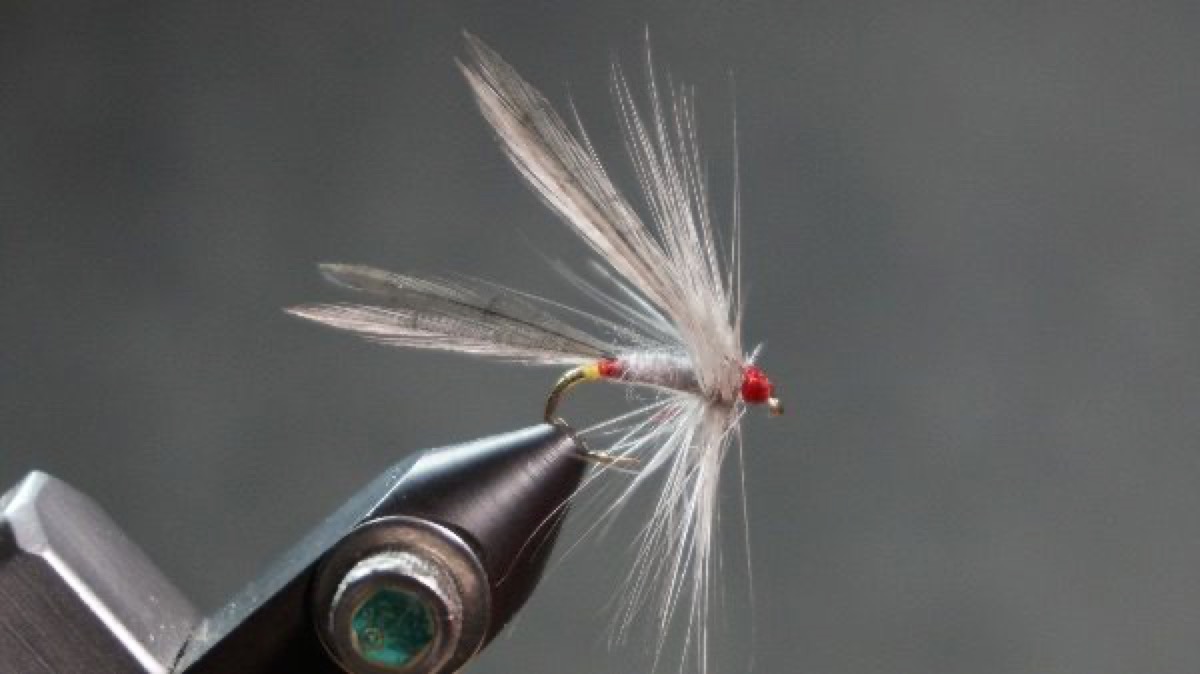 Ben Bent fly pattern tied by Christian Andrews