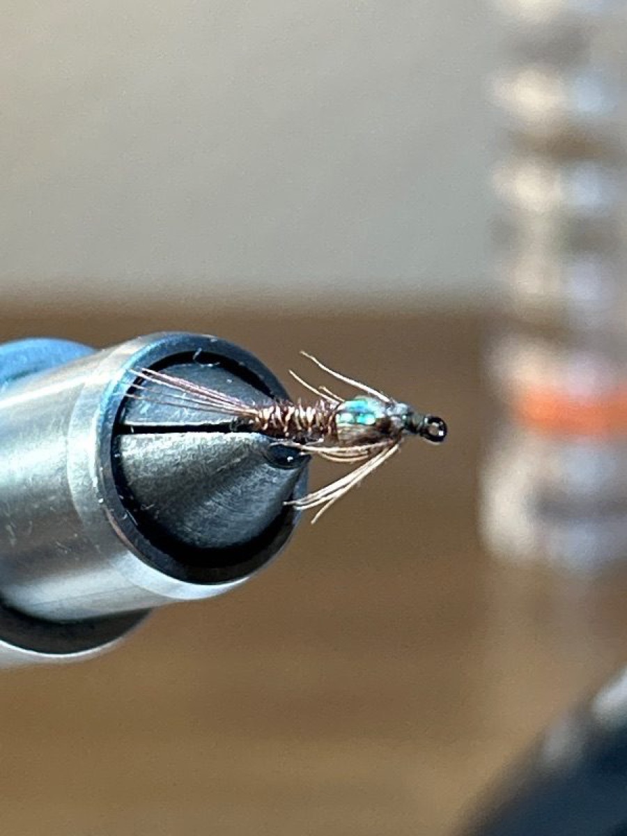 Split wing case flashback pheasant tail nymph fly pattern tied by Mark Lucas