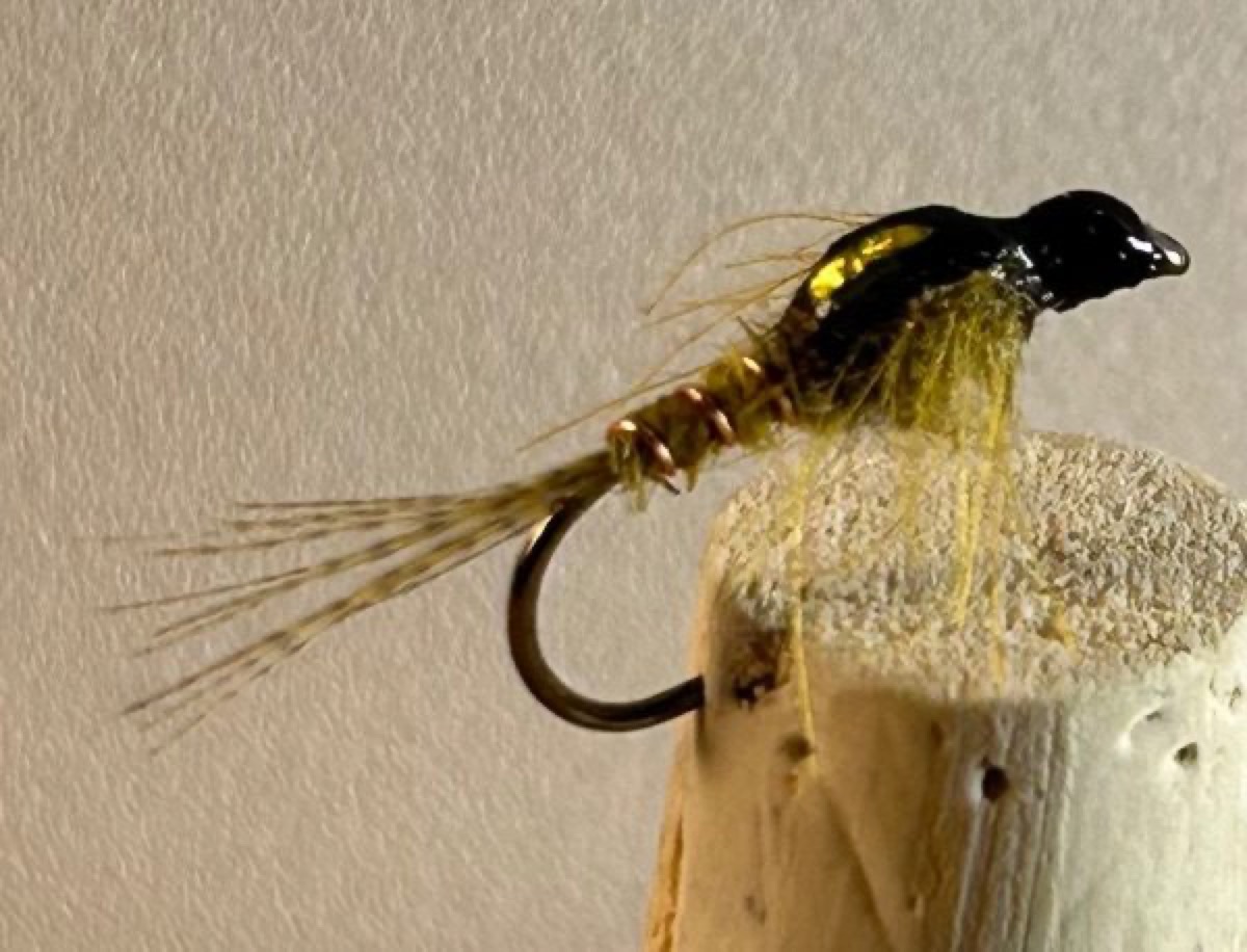 Split wing case nymph fly pattern tied by Mark Lucas