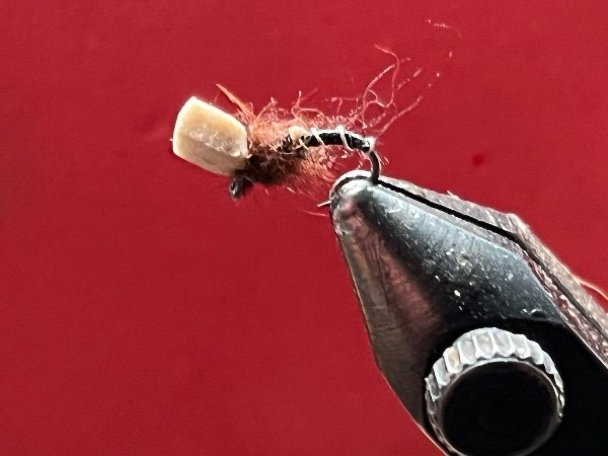 Massacre midge ( Charlie Craven) fly pattern tied by Michael Terry