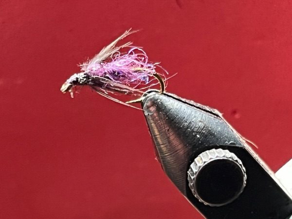 Black and purple spider fly pattern tied by Michael Terry