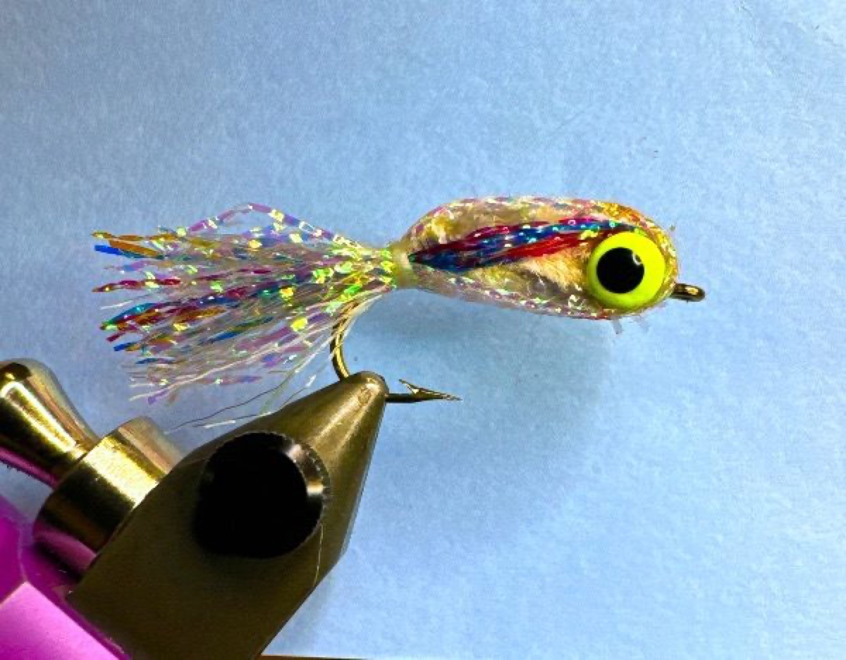 Shinny Rainbow Bait Fish fly pattern tied by Richard Harris