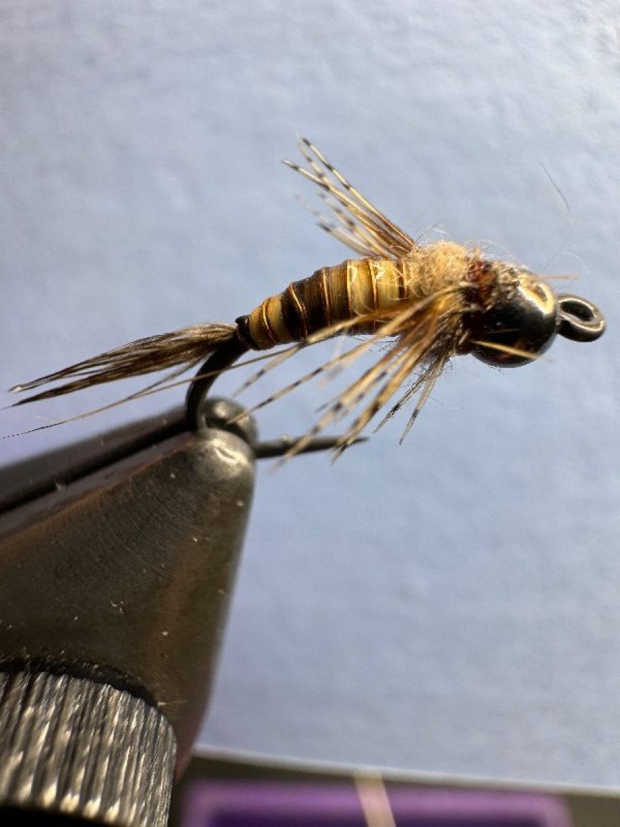 Camel Peccary stone fly fly pattern tied by Richard Harris