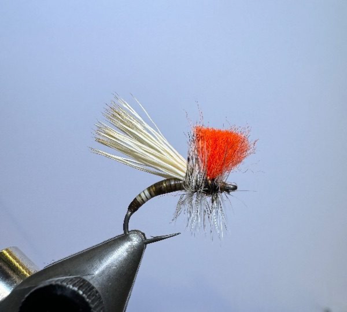 The Clown Caddis fly pattern tied by Richard Harris