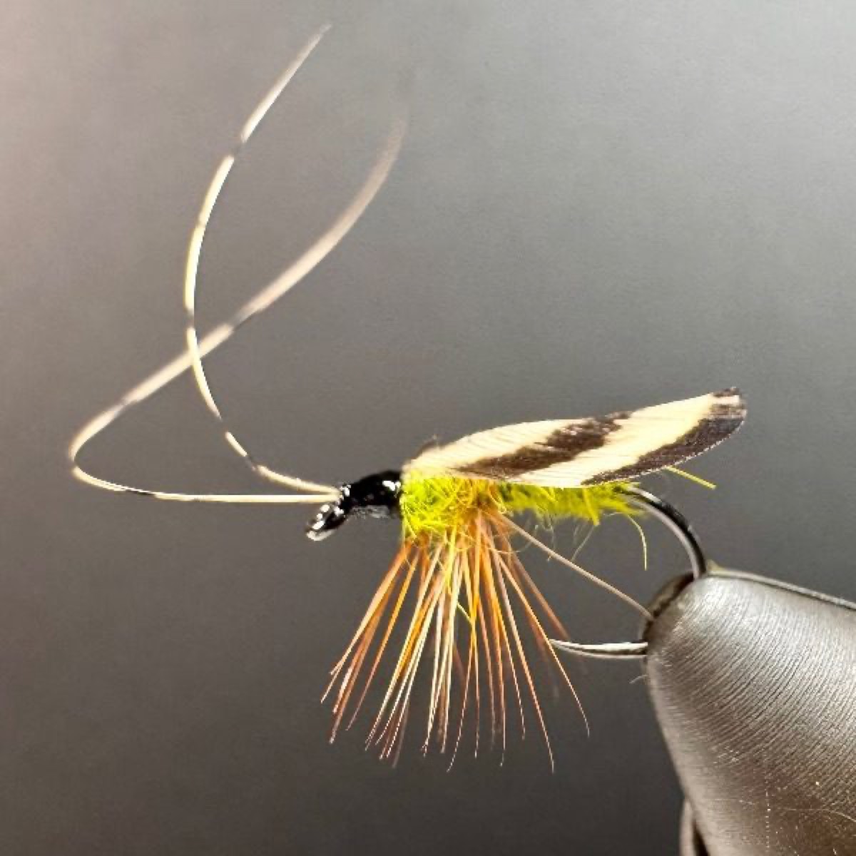 Pheasant Wing Caddis fly pattern tied by Joe Glessner