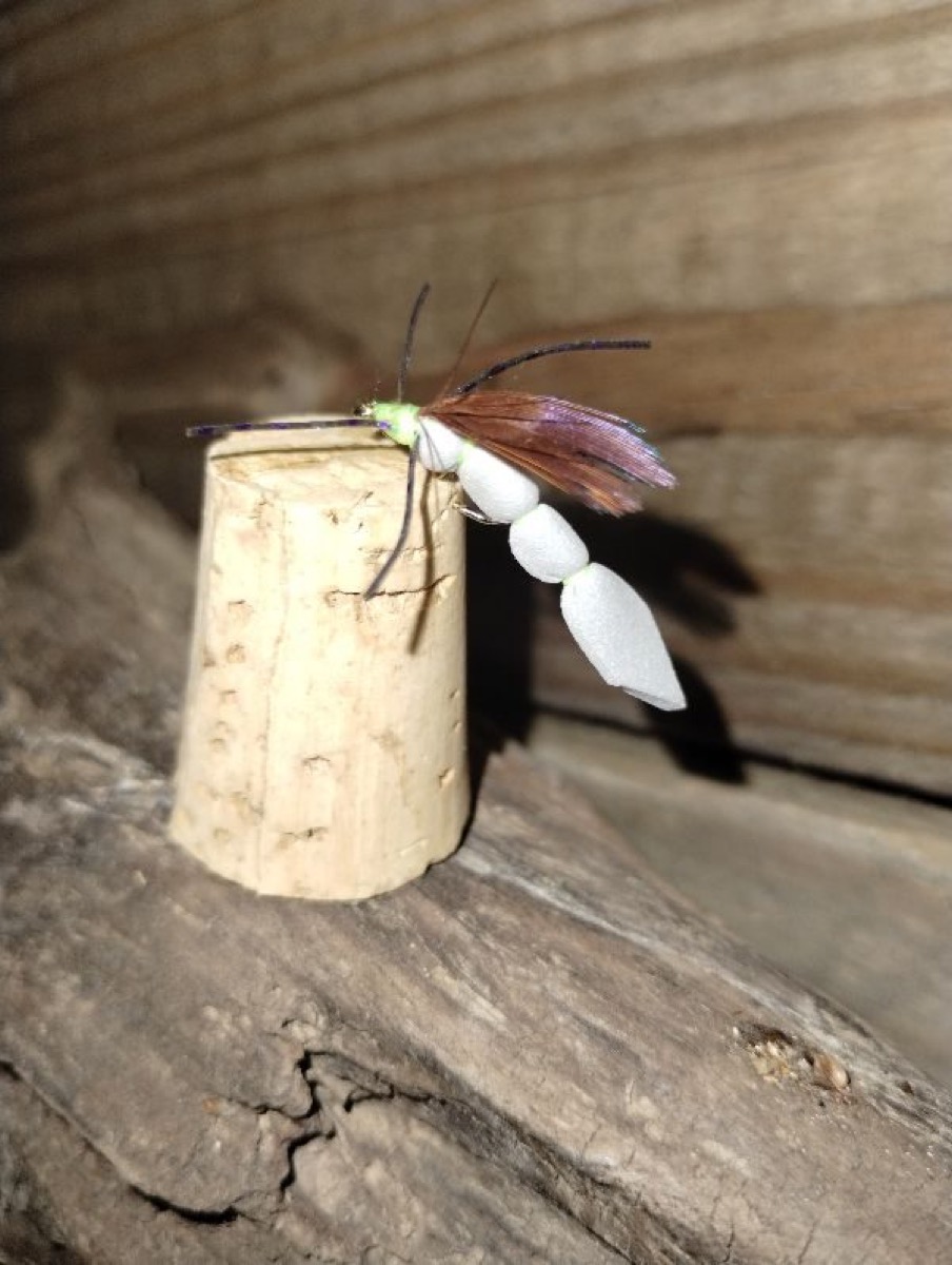 Extended body Wasp fly pattern tied by Shannon Wood