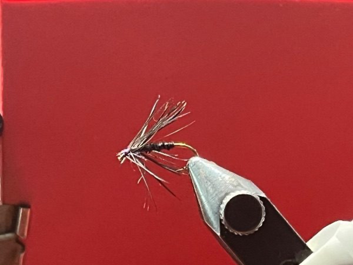 Little black/ Spring black fly pattern tied by Michael Terry