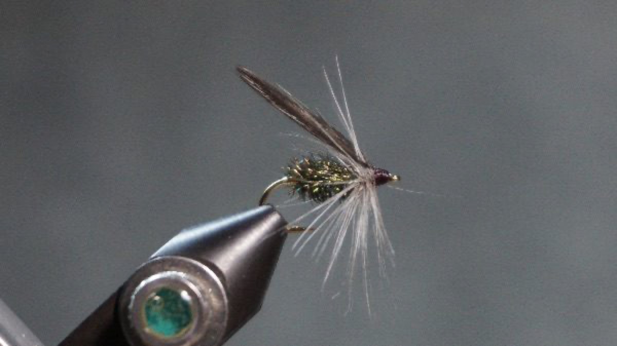Black June fly pattern tied by Christian Andrews