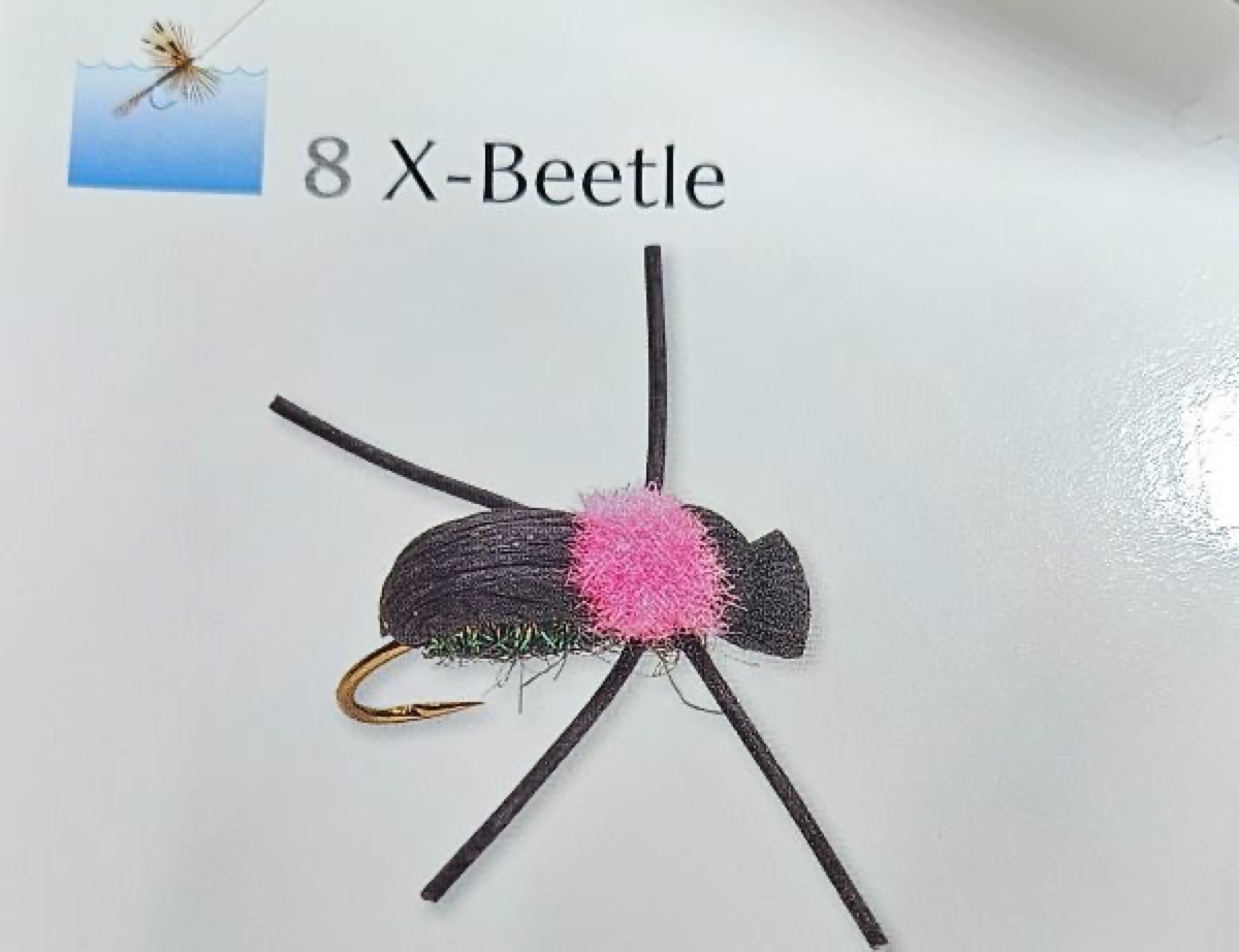 X-Beetle fly pattern tied by Will Arrant