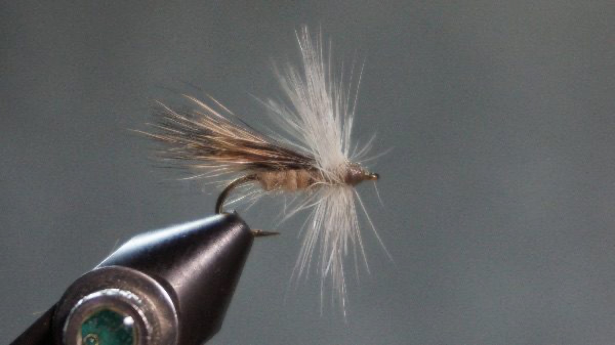 Downwing Caddis fly pattern tied by Christian Andrews