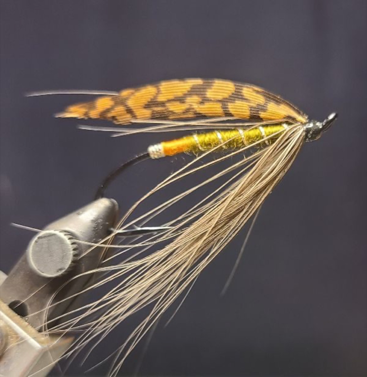 Miss Grant fly pattern tied by David Matthews