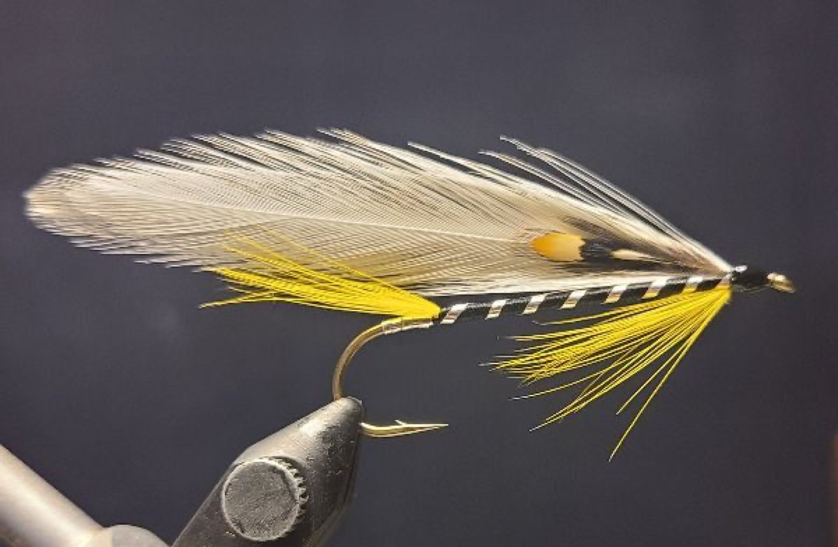 Black Ghost fly pattern tied by David Matthews