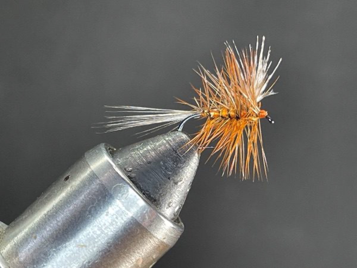 Queen of the Water fly pattern tied by Brent Jones