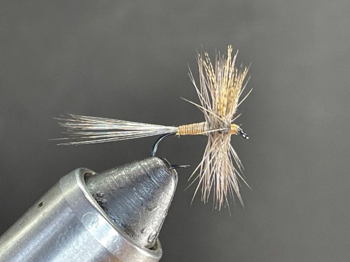 Red Quill fly pattern tied by Brent Jones