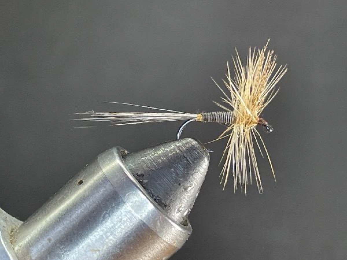 Mahogany Dun fly pattern tied by Brent Jones